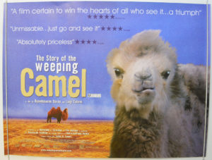 story of the weeping camel - cinema quad movie poster (1).jpg